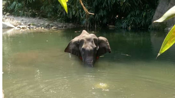 സ്വാർത്ഥനായ മനുഷ്യൻ