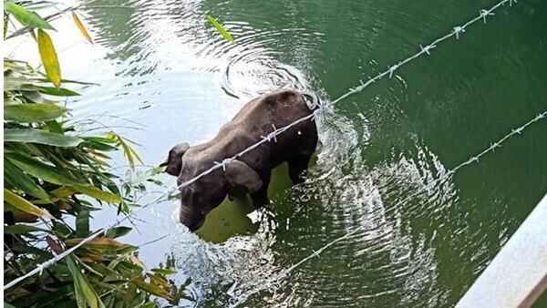 പോസ്റ്റ് മോര്ട്ടം