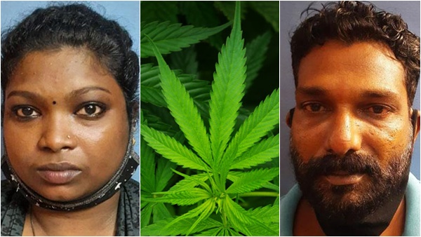 പരിശോധന