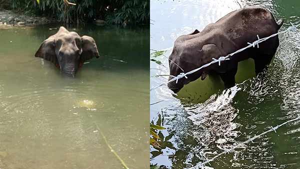 ഗർഭിണിയായിരുന്നു