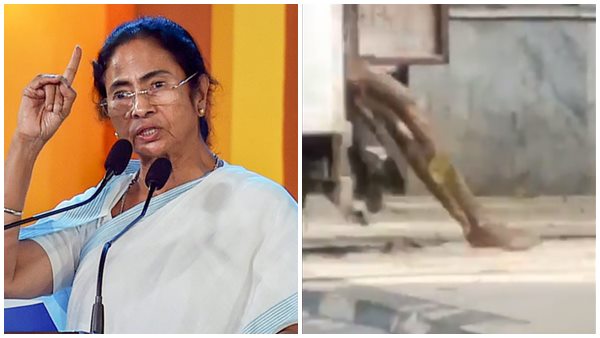 13 മൃതദേഹങ്ങളുമായി വാൻ