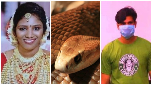 അണലിയെ കൊണ്ട് കടുപ്പിച്ചു