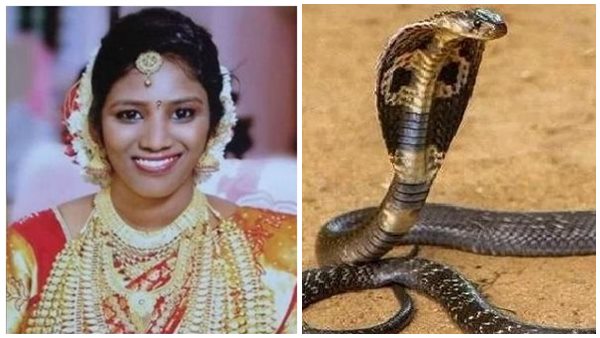 തെളിവെടുപ്പ്