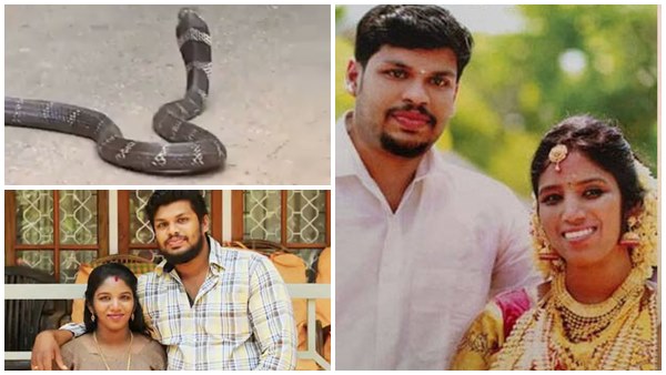 നിരവധി കാരണങ്ങള്