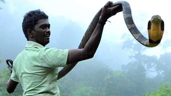 ഓര്മ്മ ഇല്ലാതാക്കി