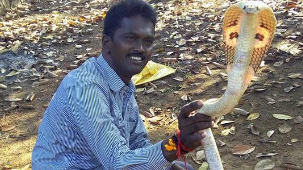 വേദനിപ്പിക്കാന് താല്പര്യമില്ല