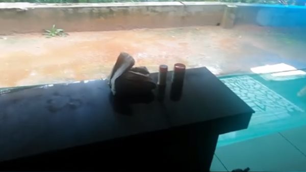 പരിധിയില്ലാത്ത സ്നേഹം