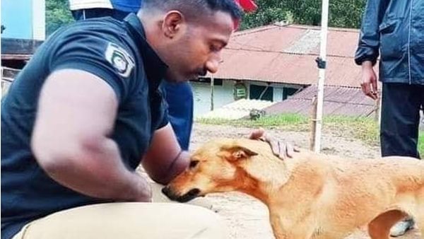 കുവി കുഞ്ഞ് ധനുവിനെ തേടി നടന്നത്
