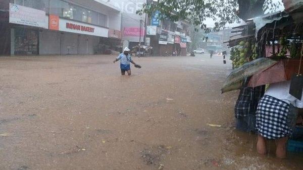 പ്ലാസ്റ്റിക് ബാഗുകളിൽ