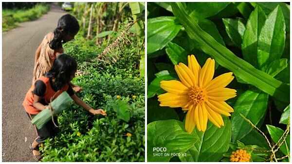 മാവേലി നാടു വാണീടുംകാലം