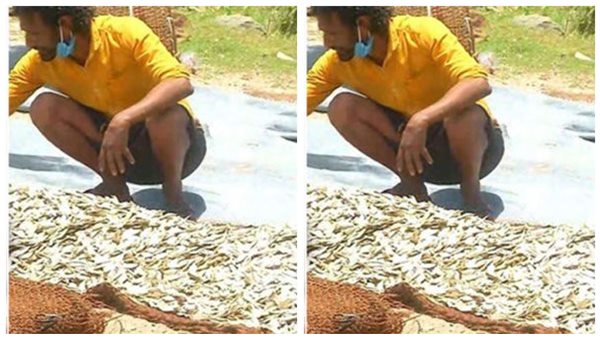 കടപ്പുറത്ത് മീൻ കച്ചവടം