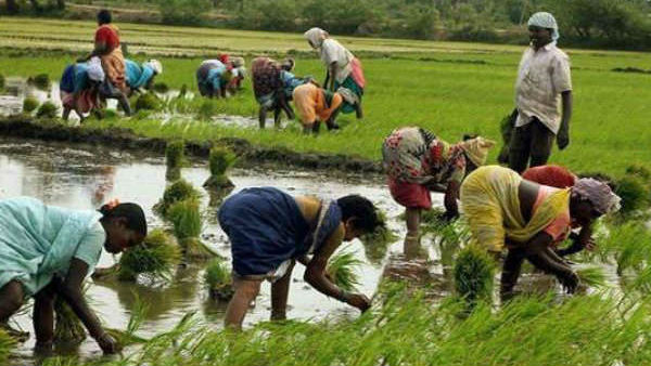 എതിർപ്പുമായി എംഎൽഎമാരും