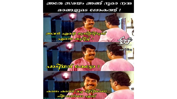 നന്മമരങ്ങളുടെ ലോകം