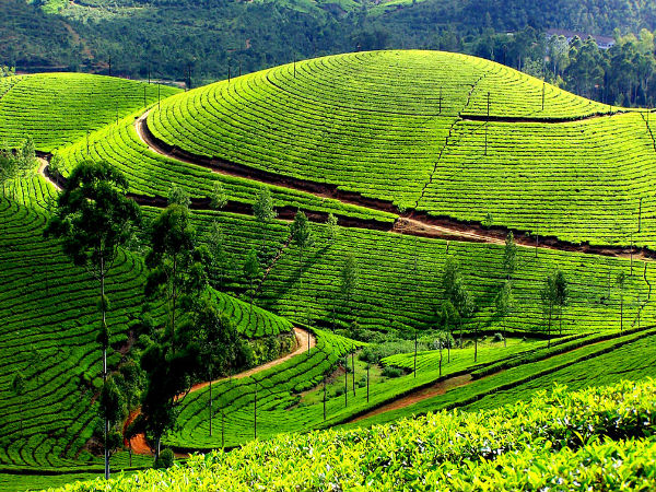സന്ദര്ശന വേളയില്