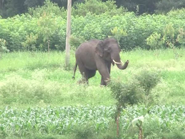 തന്റെ കണ്മുൻപിൽ