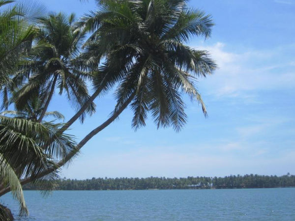 അണുവിമുക്തമാക്കണം