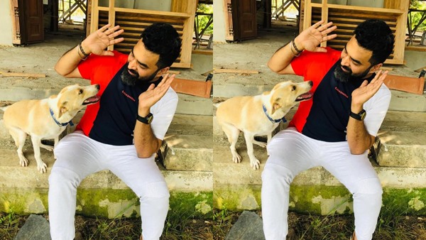 വഴിയോരത്ത് നിന്ന് കിട്ടിയവയാണ്
