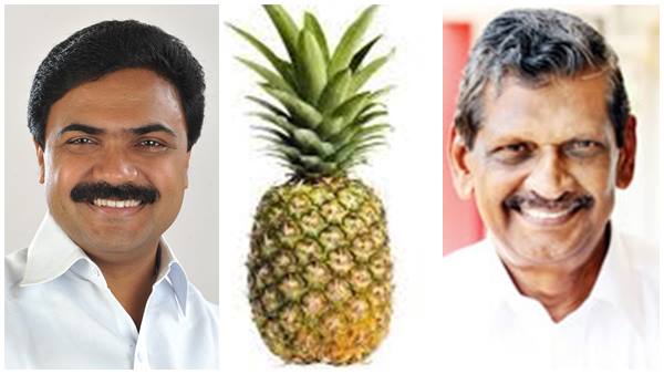 കൈതച്ചക്കയില് മത്സരിച്ചപ്പോള്