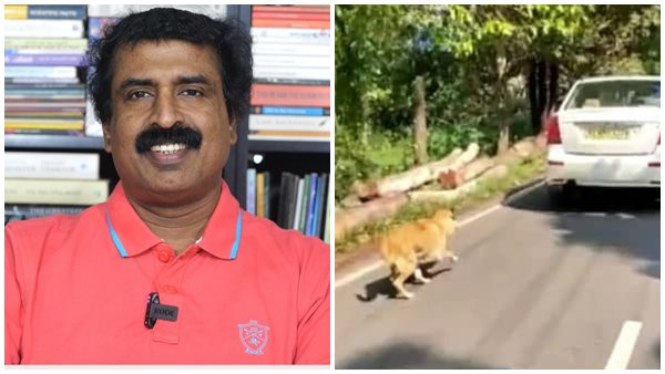 നായ നിഷിദ്ധ മൃഗം