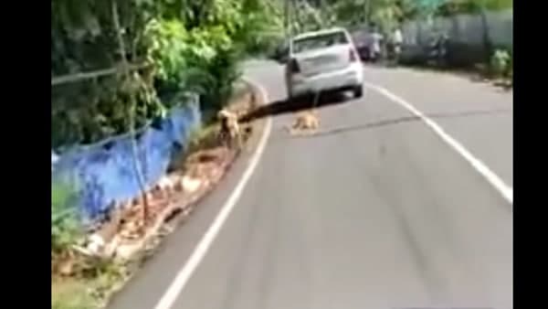 പോലീസ് കേസ്