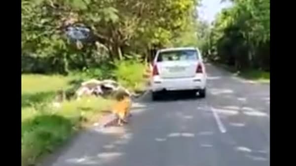 ശരീരത്തിൽ മുറിവുകൾ