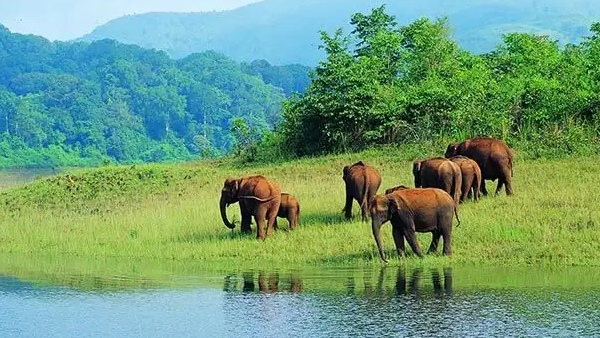 തോട്ടം തൊഴിലാളികൾ