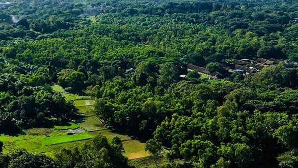 സംഘടനയുടെ ഭാവി