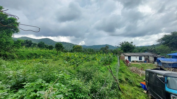 ബഫര് സോണ്