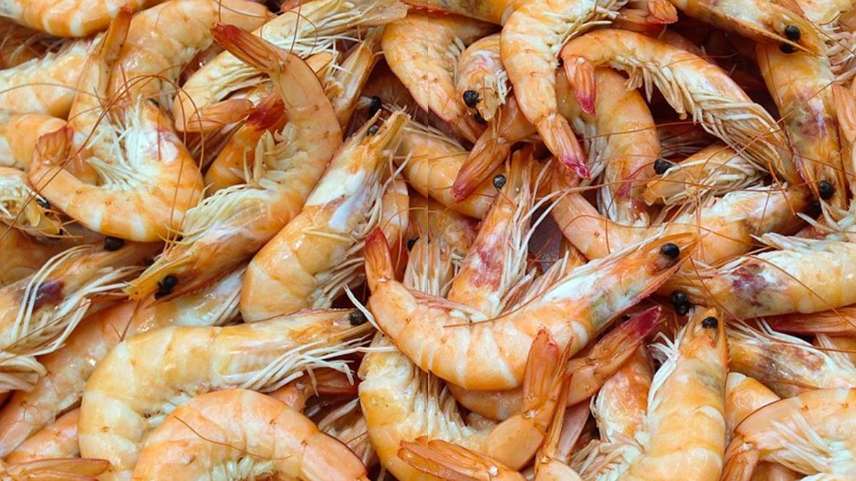 Saudi Arabia Bans The Import Of Shrimp from India , This is Why