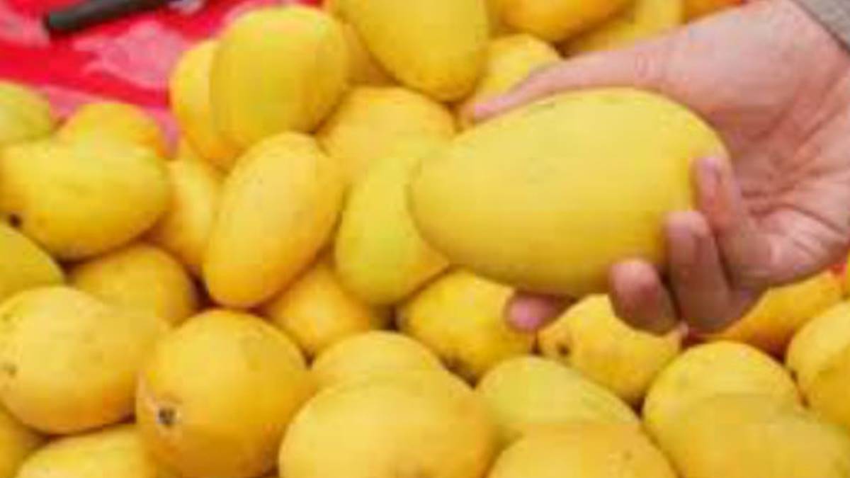you can buy mangoes for EMI, Here is what to do, goes viral in