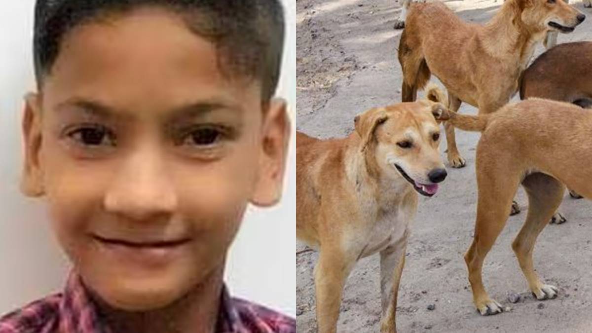 Stray dog attack nihal Muzhapilangad is shocking after hearing news of