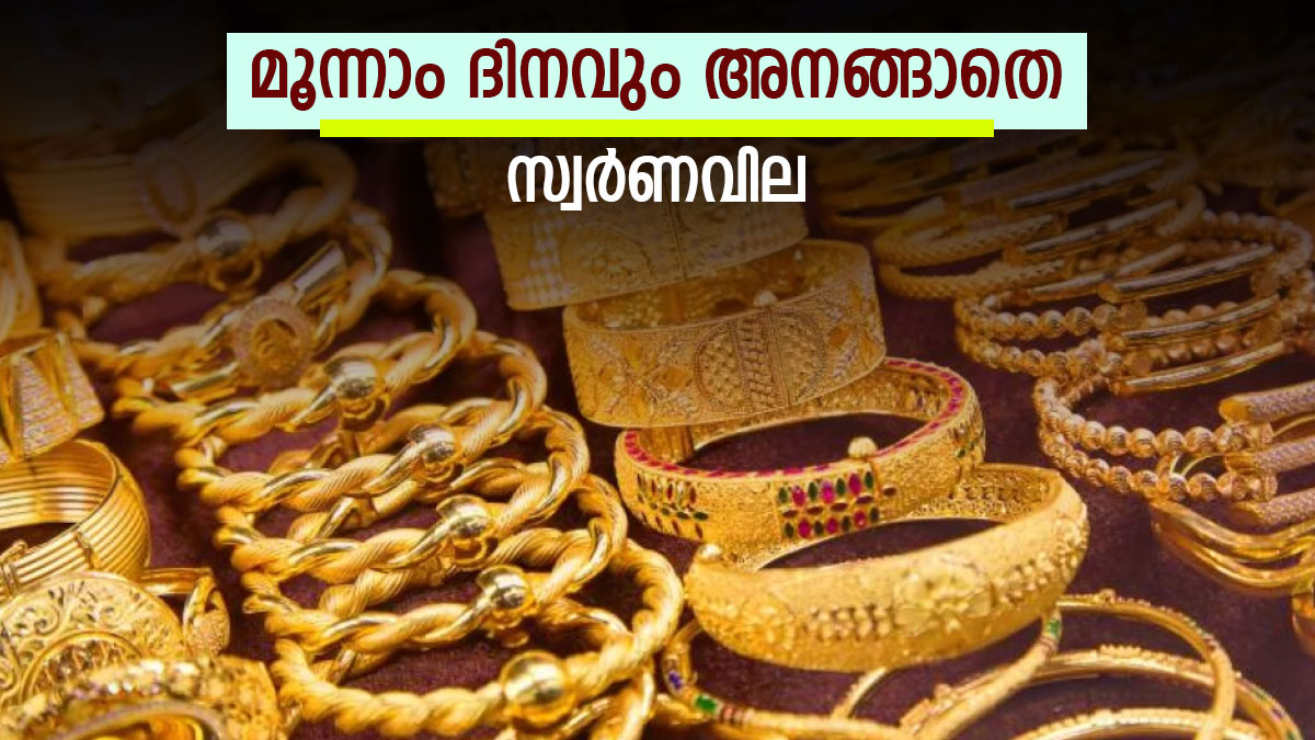Gold Rate Today In Kerala Rs 44120 For One Pavan Rs 5515 Per Gram Gold Rate Today In Kerala Rs 44120 For One Pavan Rs 5515 Per Gram