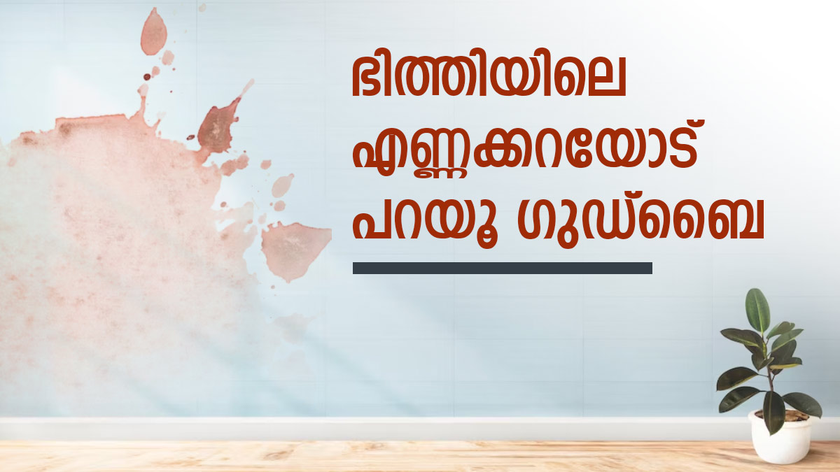 Cleaning Tips Here Is How to Remove Oil Stains And Black Mark From