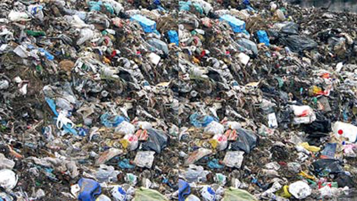 Waste Disposal Clean Kerala Company disposed of 1795.74