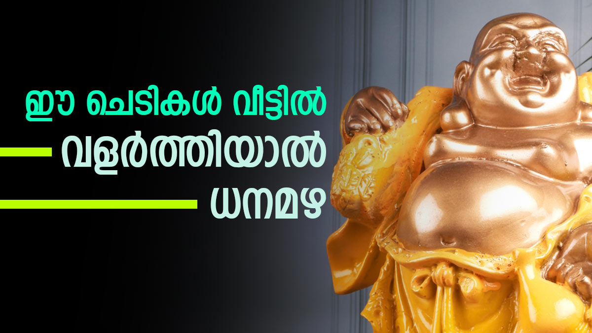 Vastu Tips Plant Jamanthi To Hibiscus In These Direction For Lord Kubera's Blessing Malayalam