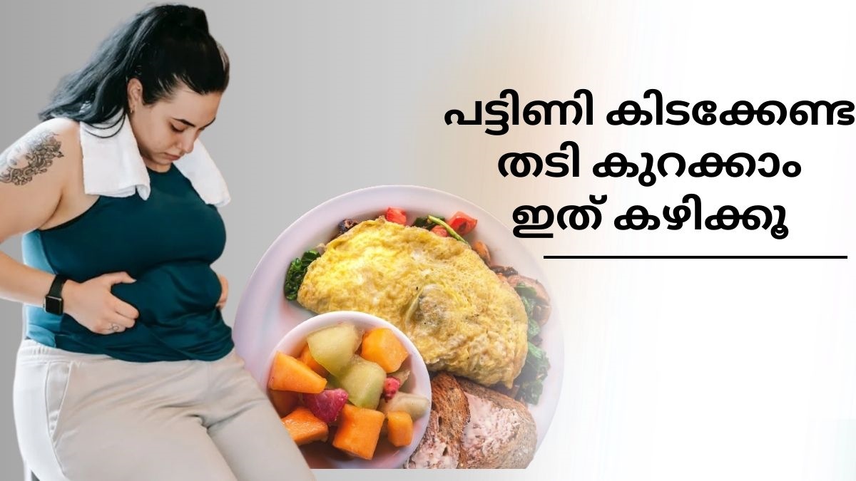 Are You Trying Hard For Loosing Weight, Then Try These 7 Best Mini