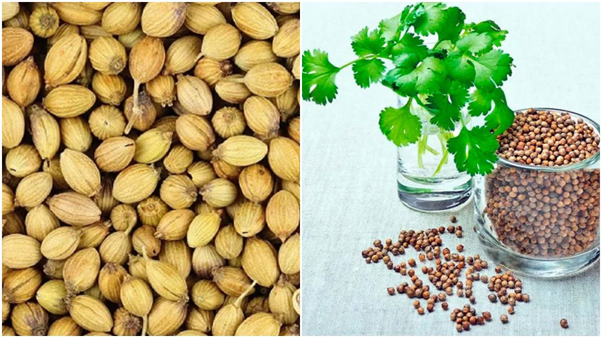 Health Tips Do You Know Coriander Can Help In Weight Loss And Hair