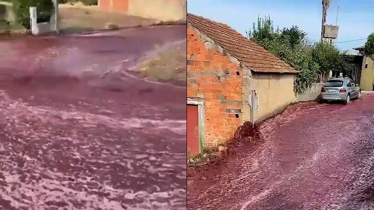 Red wine river flowing in portugese town shocks people, reason goes