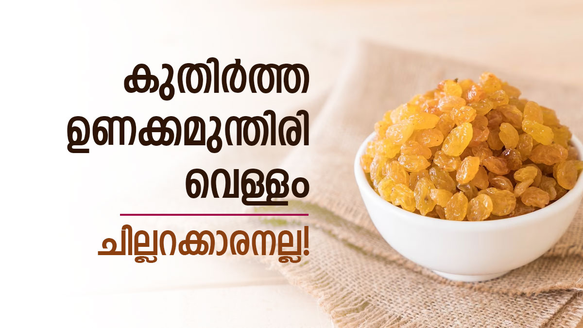 Weight Loss Tips In Malayalam Do You Know How The Soaked Raisin Water