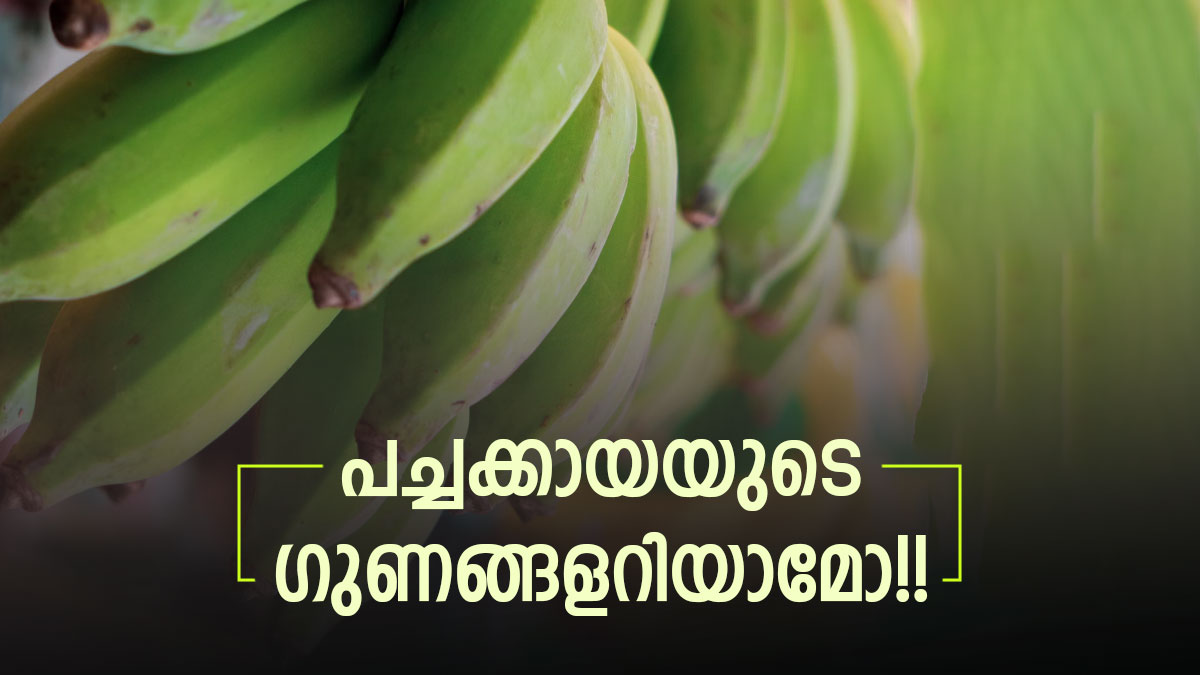 Health Tip Do You Know The Health Benefits Of Raw Banana, You Will Be Amazed Malayalam Oneindia