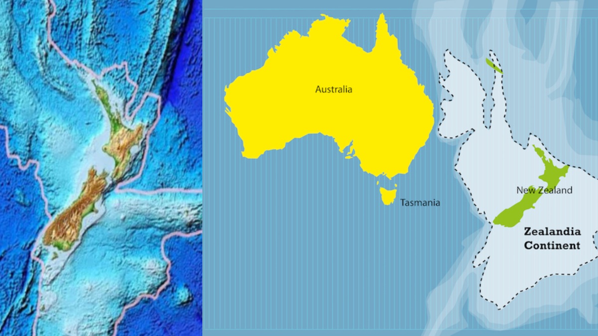 Why scientist are called zealandia the eight continent, ancient
