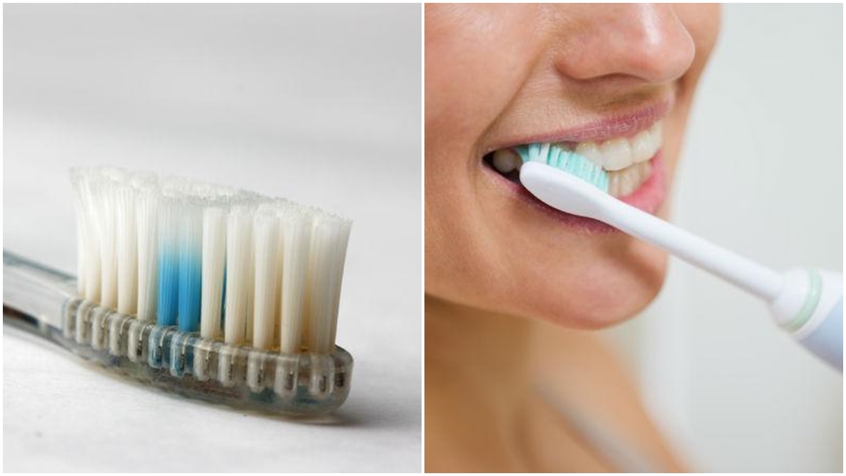 Where Do You Keep Your Toothbrush? Never Keep Your Brush In Bathroom