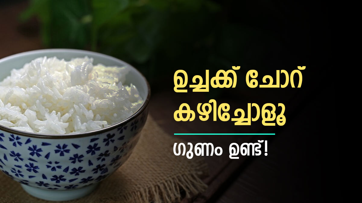 തടി വെയ്ക്കുമോയെന്ന പേടി വേണ്ട; ഉച്ചയ്ക്ക് ചോറ് വേണ്ടെന്നും വെയ്ക്കേണ്ട