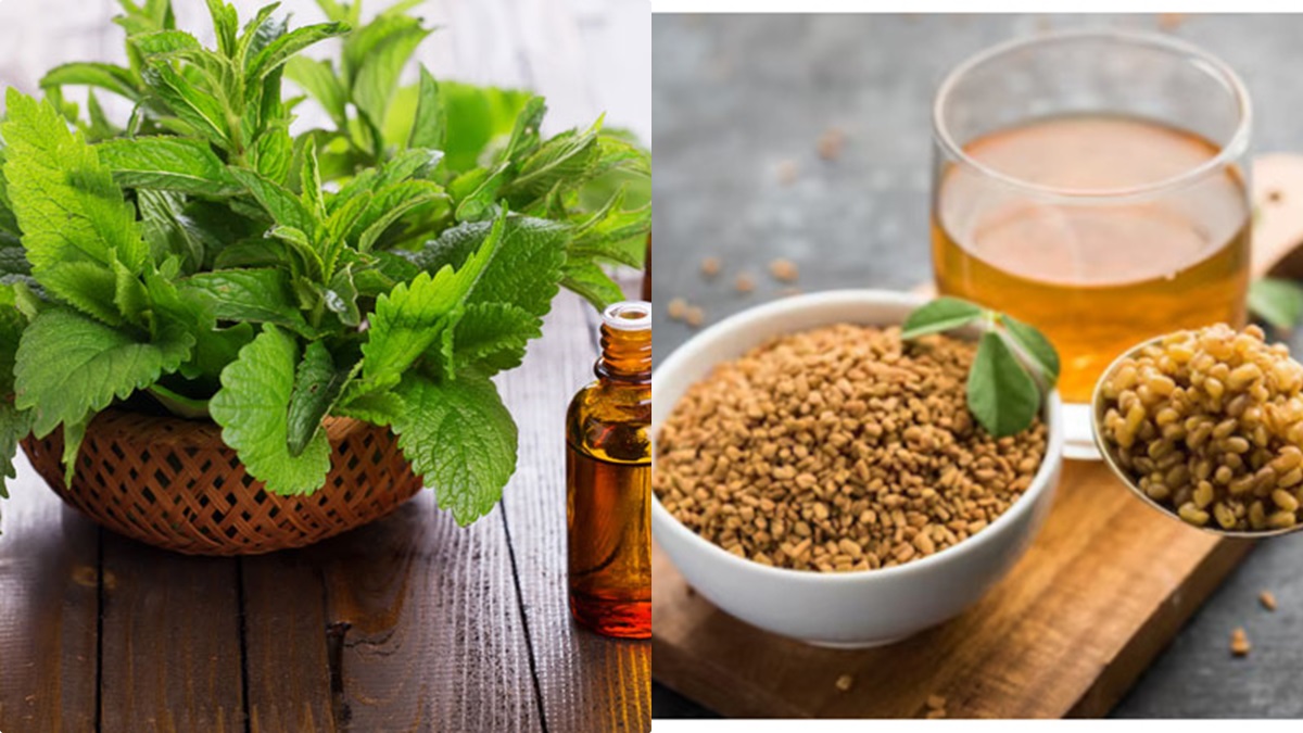 പൊണ്ണത്തടി പ്രശ്‌നമാണ്, ഉലുവയും കര്‍പ്പൂര തുളസിയുമുണ്ടോ? എങ്കില്