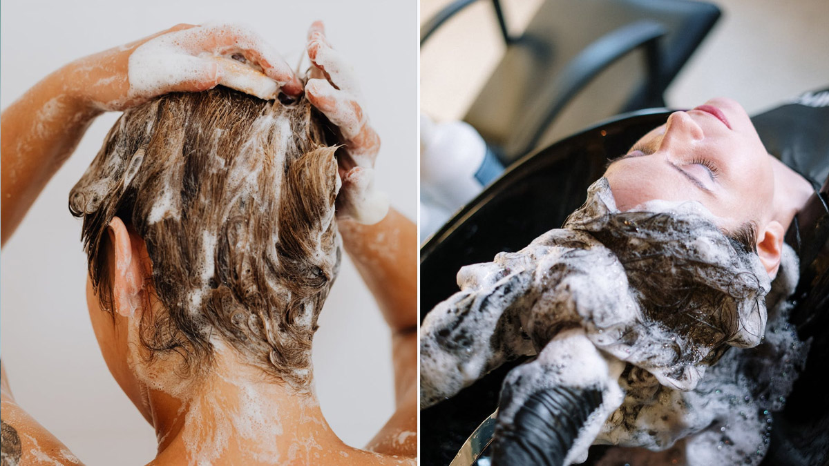 Hair Care Tips In Malayalam No Need Of Shampoo, Here Is Some Home