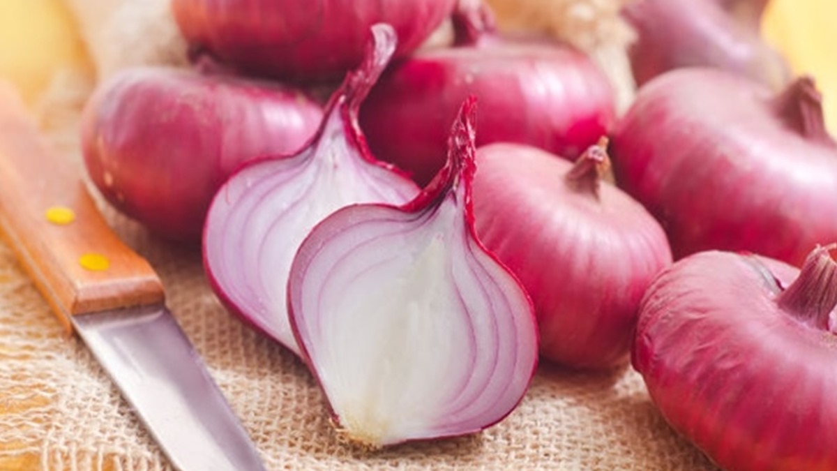 Onion Price Is Toucing Record hight, But don't worry There is a