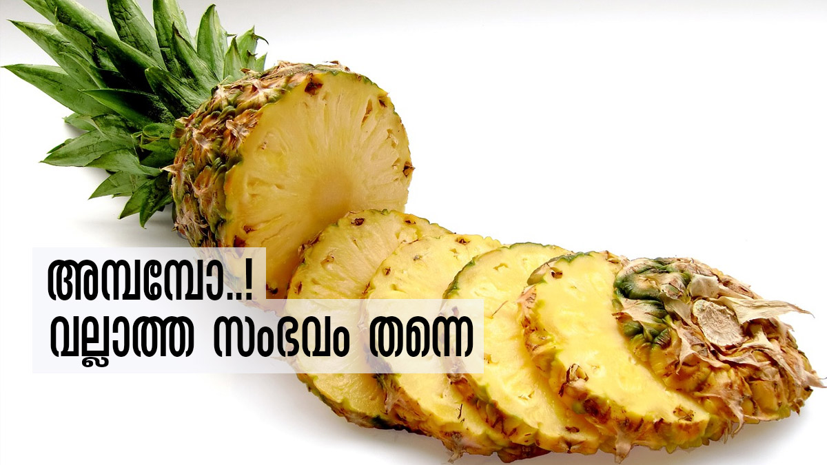 ഒന്നല്ല രണ്ടല്ല മൂന്നല്ല.... പൈനാപ്പിള്‍ കഴിക്കുന്നത് കൊണ്ടുള്ള