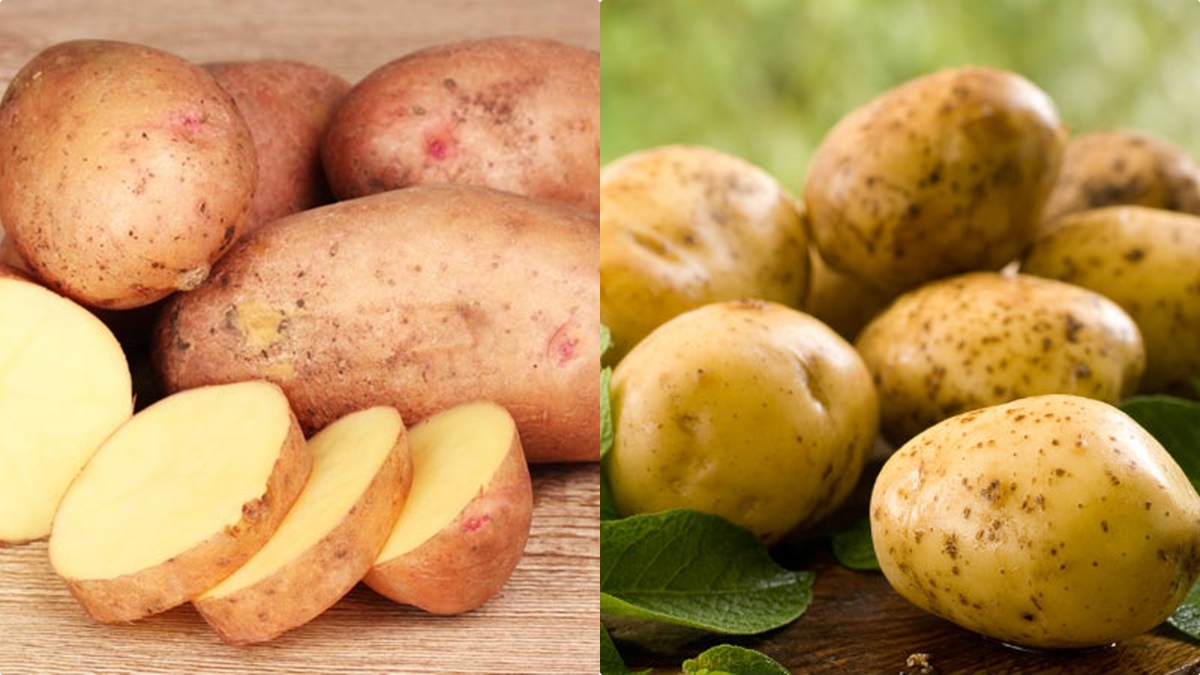 Weight Loss Tips In Malayalam eat potato and start a daily diet, here