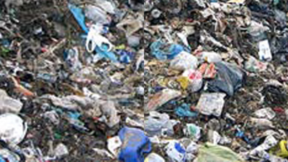 Dumping Waste in public places Valayur gram panchayat levied a fine of