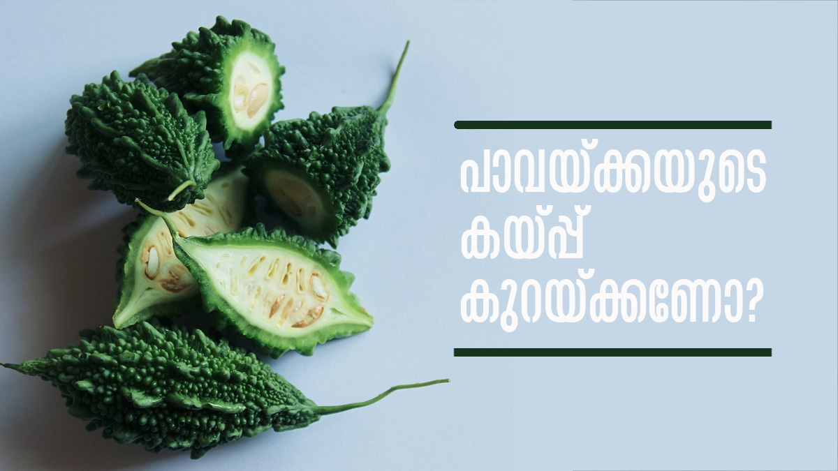 കയ്പ്പുള്ളതിനാലാണോ പാവയ്ക്കയോട് 'വിരോധം'? കയ്പ്പ് കുറക്കാന്